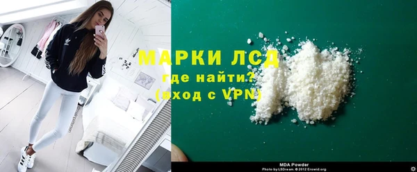 стаф Алзамай