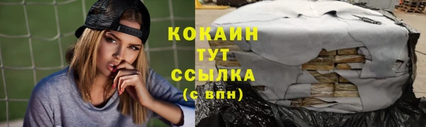 крисы Абаза