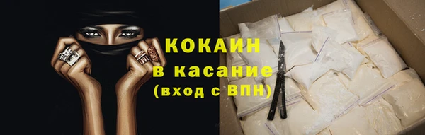 стаф Алзамай