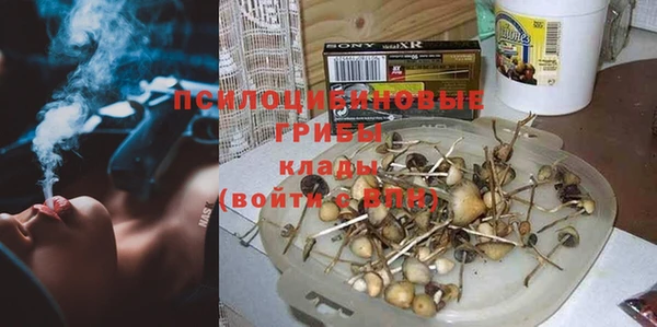 стаф Алзамай