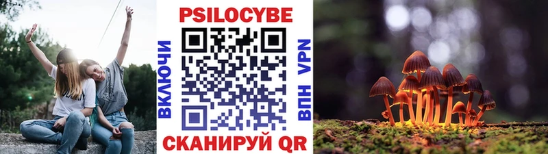 Галлюциногенные грибы Magic Shrooms  omg ONION  Лабинск 